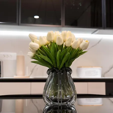 Artorius Apartament *